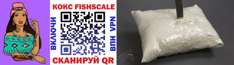 COCAIN Fish Scale Купить закладки Ворсма