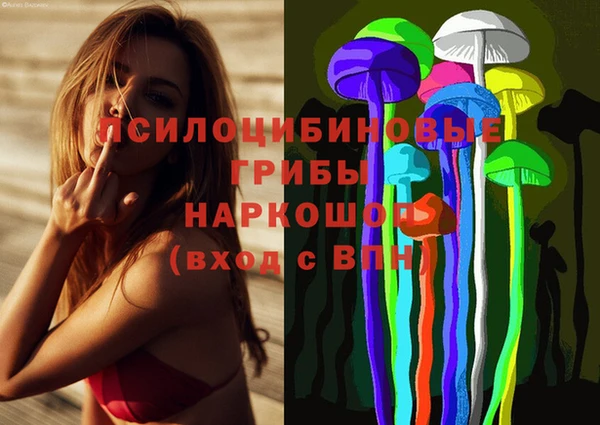 PSILOCYBIN Белоозёрский
